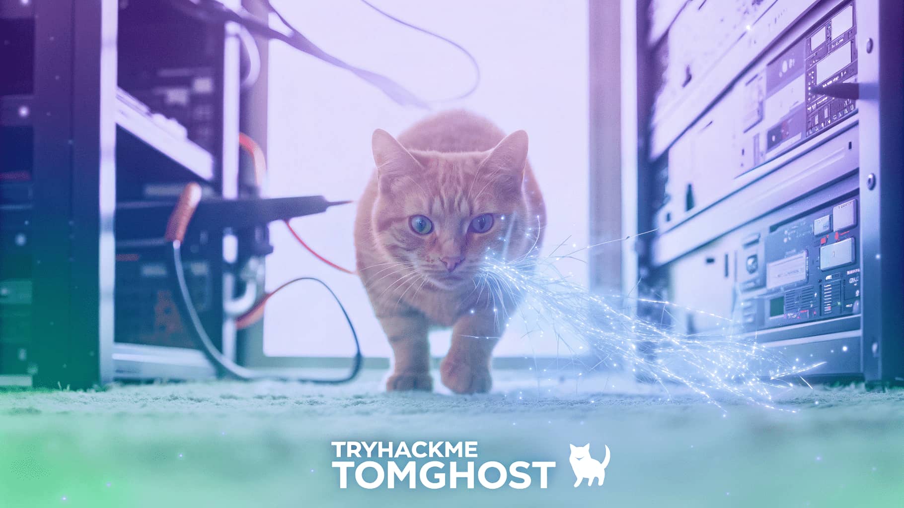 TryHackMe - Tomghost